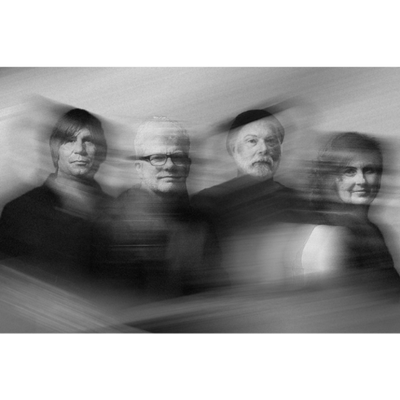 The New Pornographers